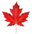 The Canadian Music Scene Maple Leaf